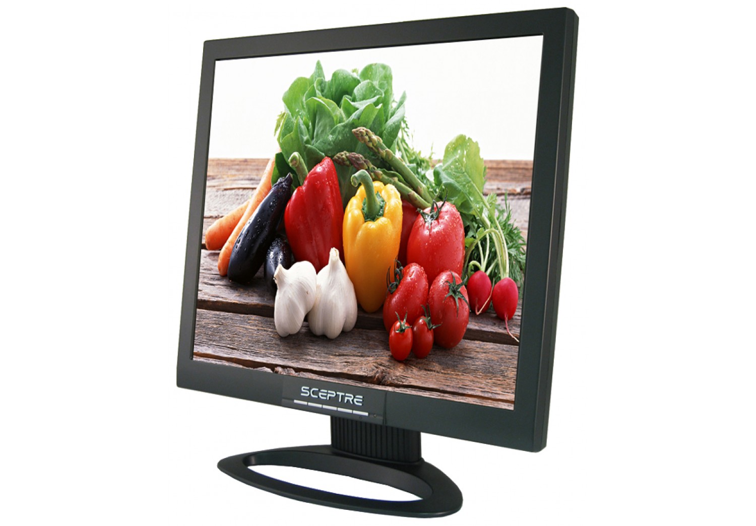 sceptre 19 inch monitor